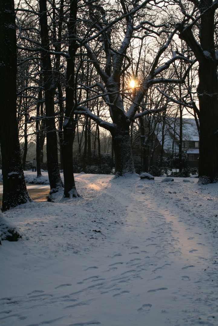 Winterimpressionen 2