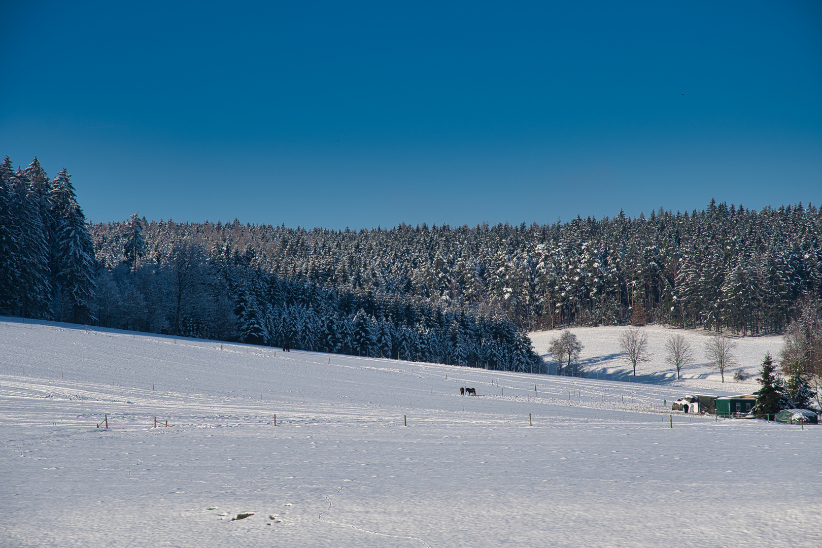 Winterimpressionen 2