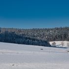 Winterimpressionen 2