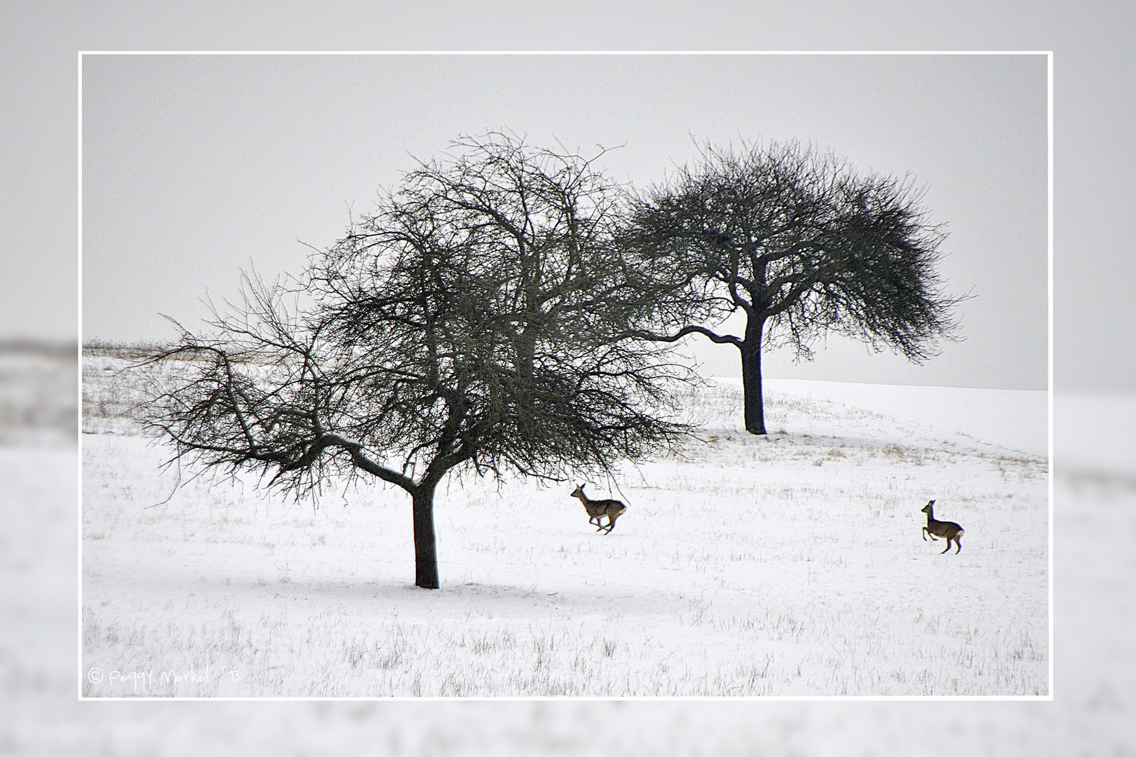 Winterimpressionen 2013