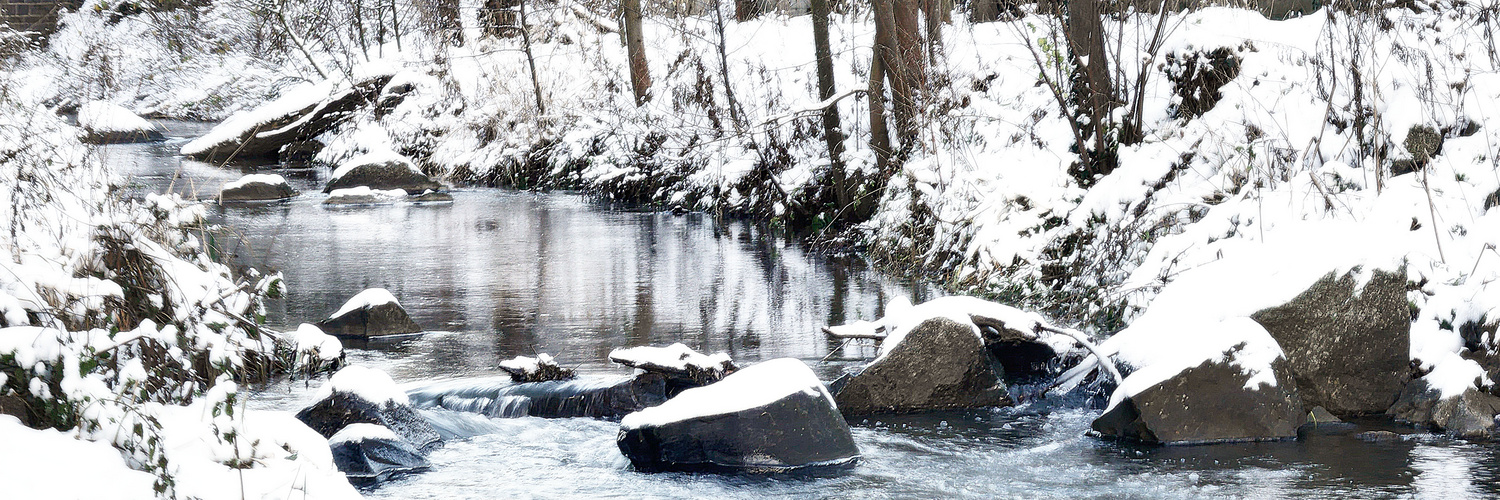 Winterimpressionen 2014.5