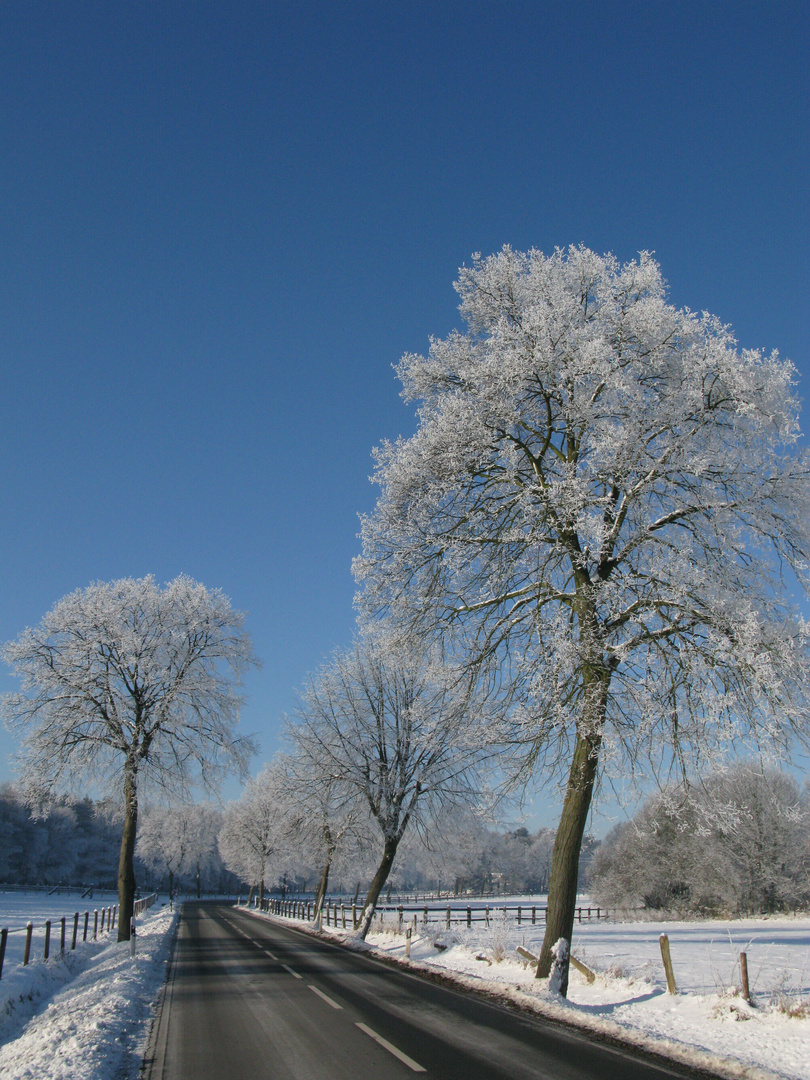 ...Winterimpressionen...