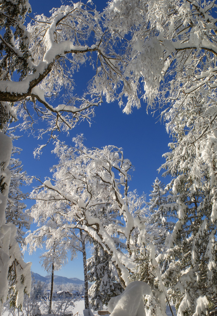 Winterimpressionen