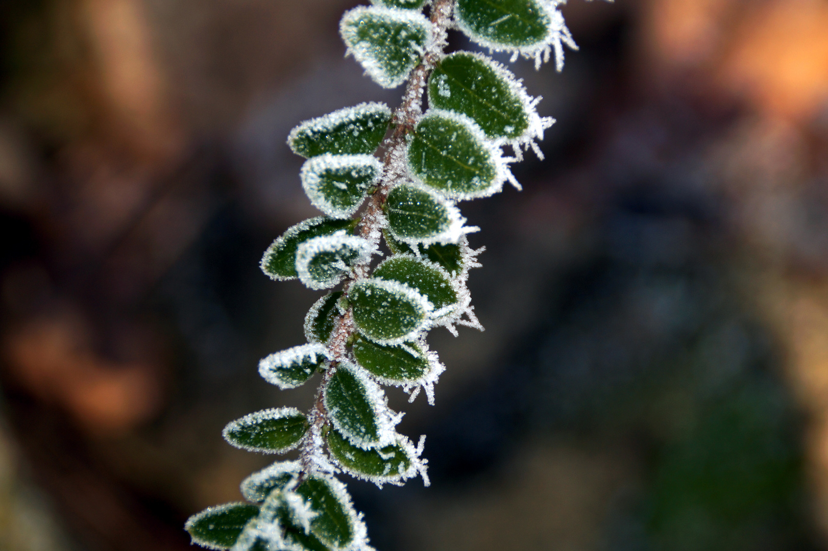 Winterimpressionen