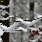 Winterimpressionen 3