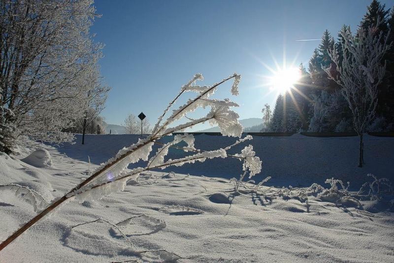 Winterimpressionen