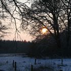 Winterimpressionen 4