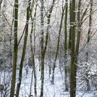 Winterimpressionen 4