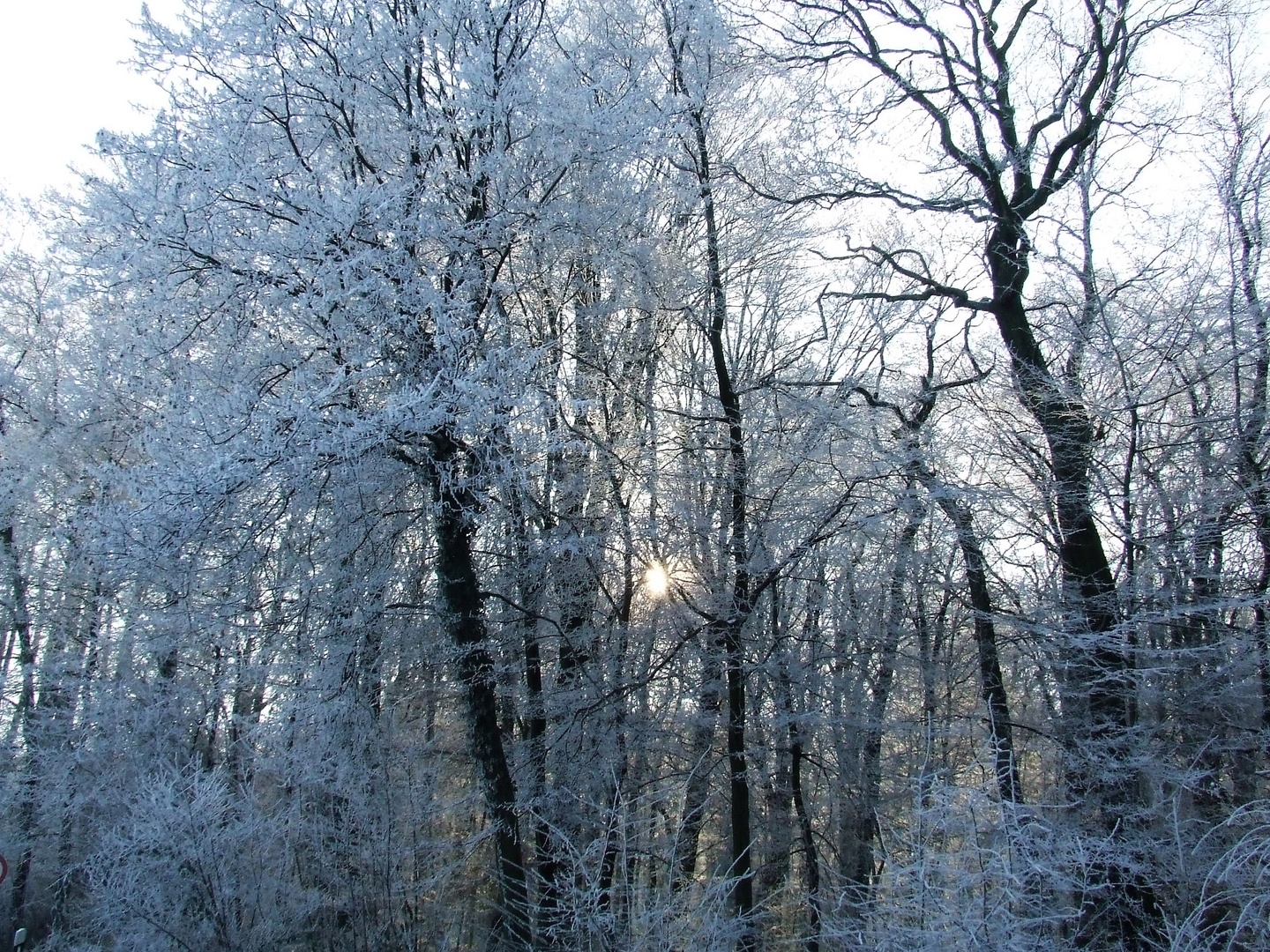 Winterimpressionen