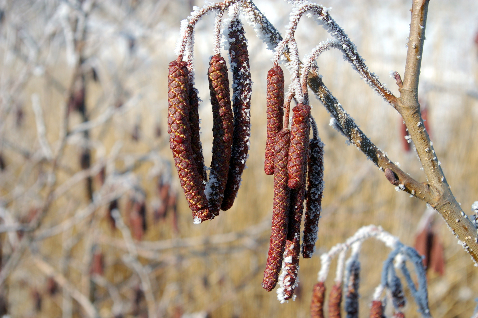 Winterimpressionen