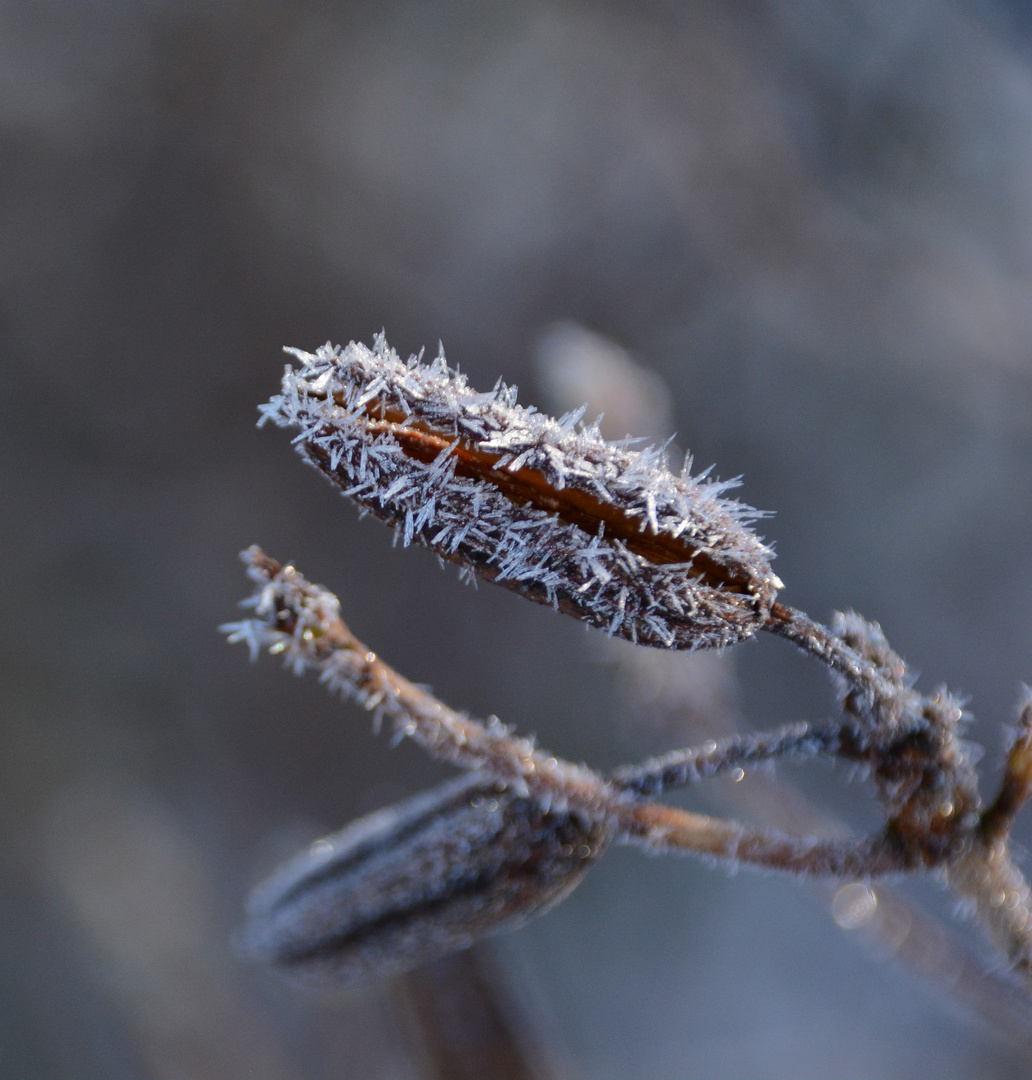 Winterimpressionen