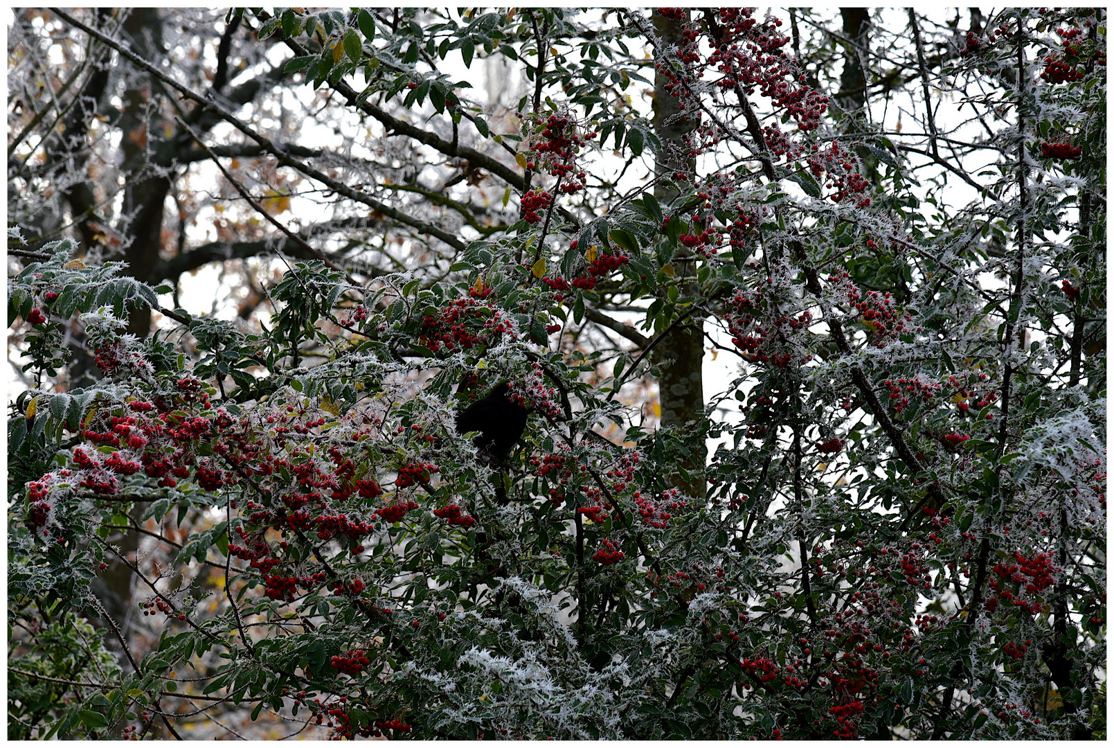 Winterimpressionen (6)