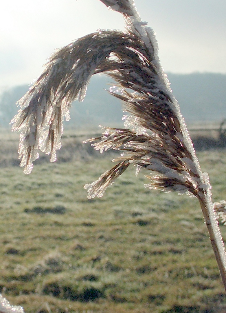 Winterimpressionen