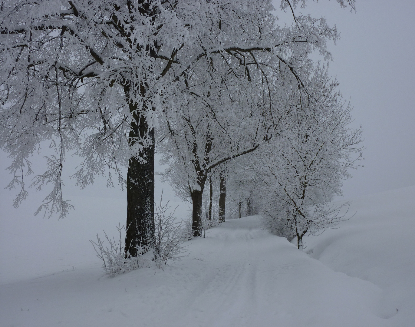 Winterimpressionen