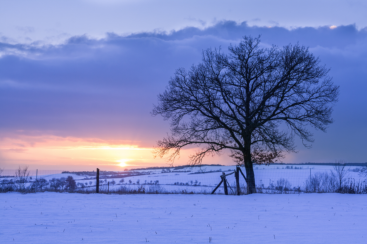 Winterimpressionen