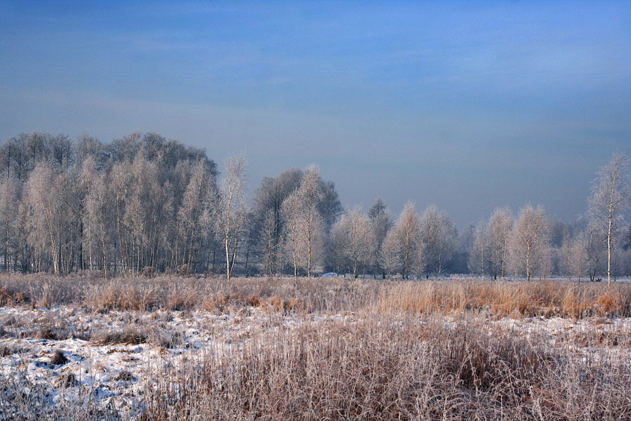 Winterimpressionen