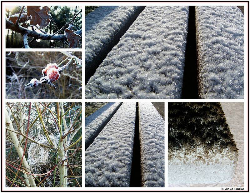 Winterimpressionen