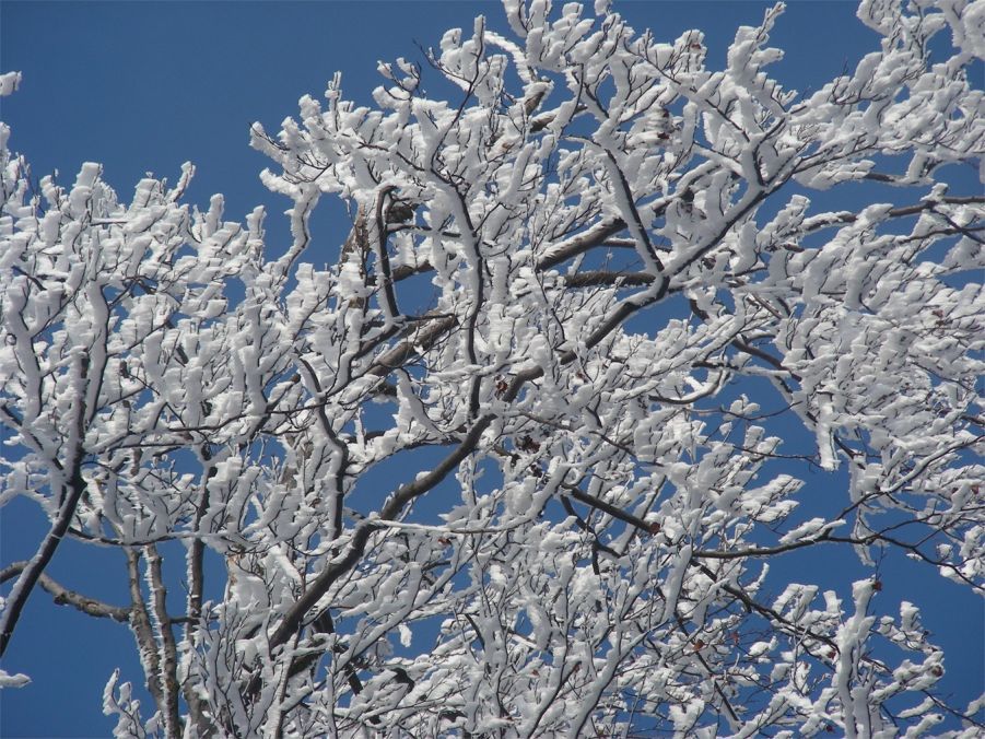 Winterimpressionen