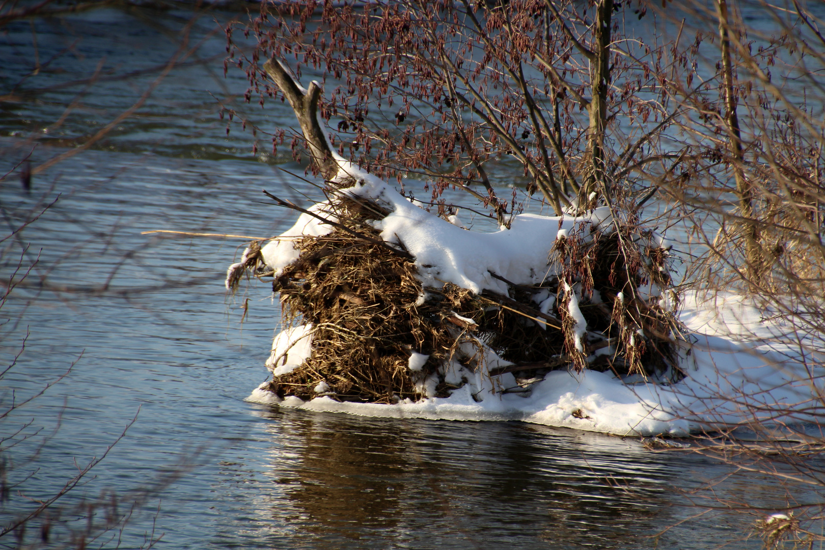 Winterimpressionen