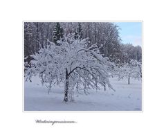 Winterimpressionen...