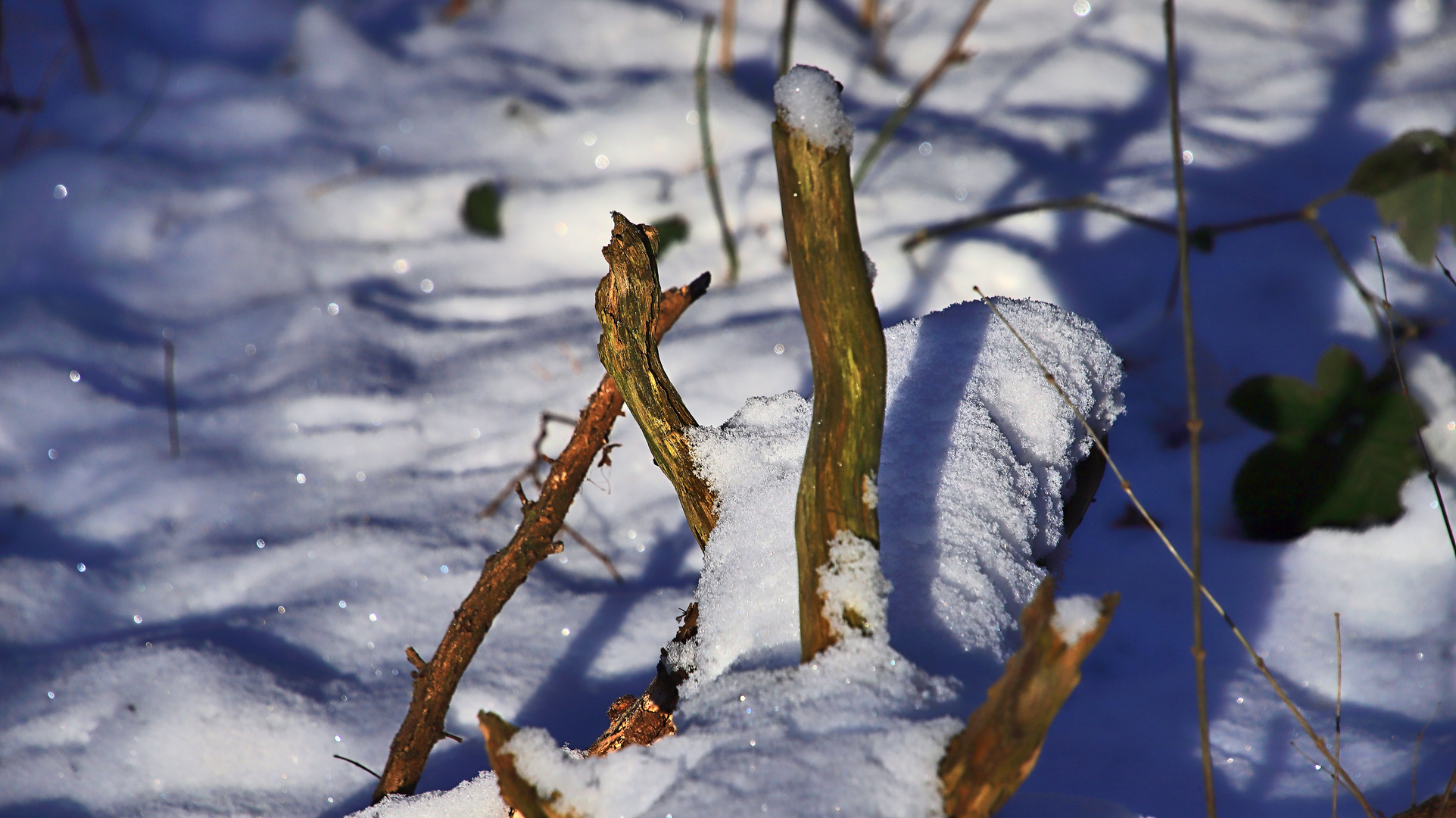 Winterimpressionen...