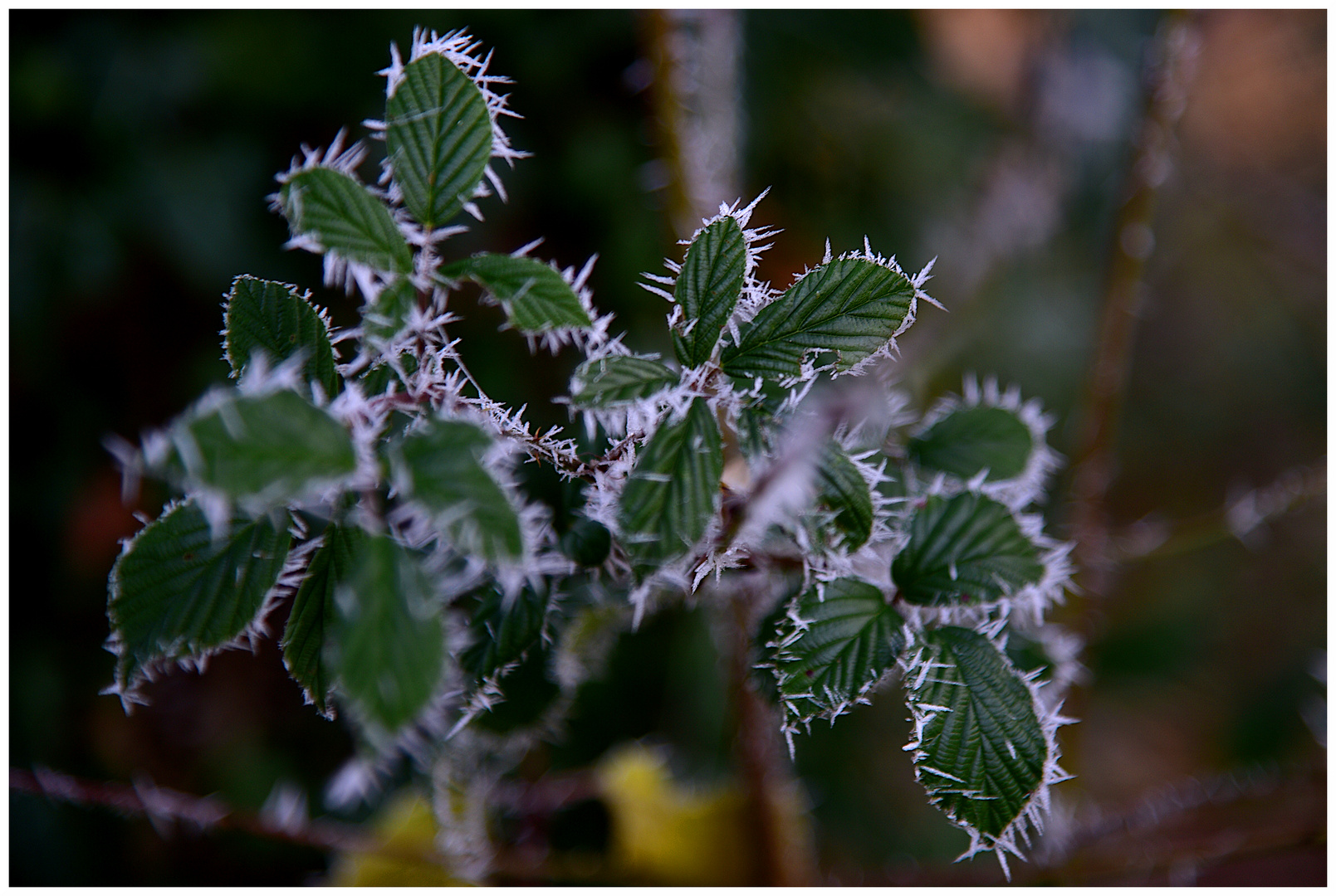 Winterimpressionen (8)