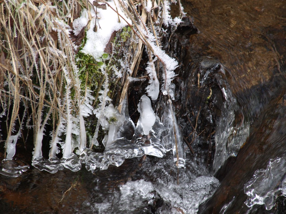 Winterimpressionen