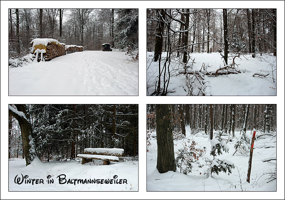 Winterimpressionen