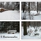 Winterimpressionen