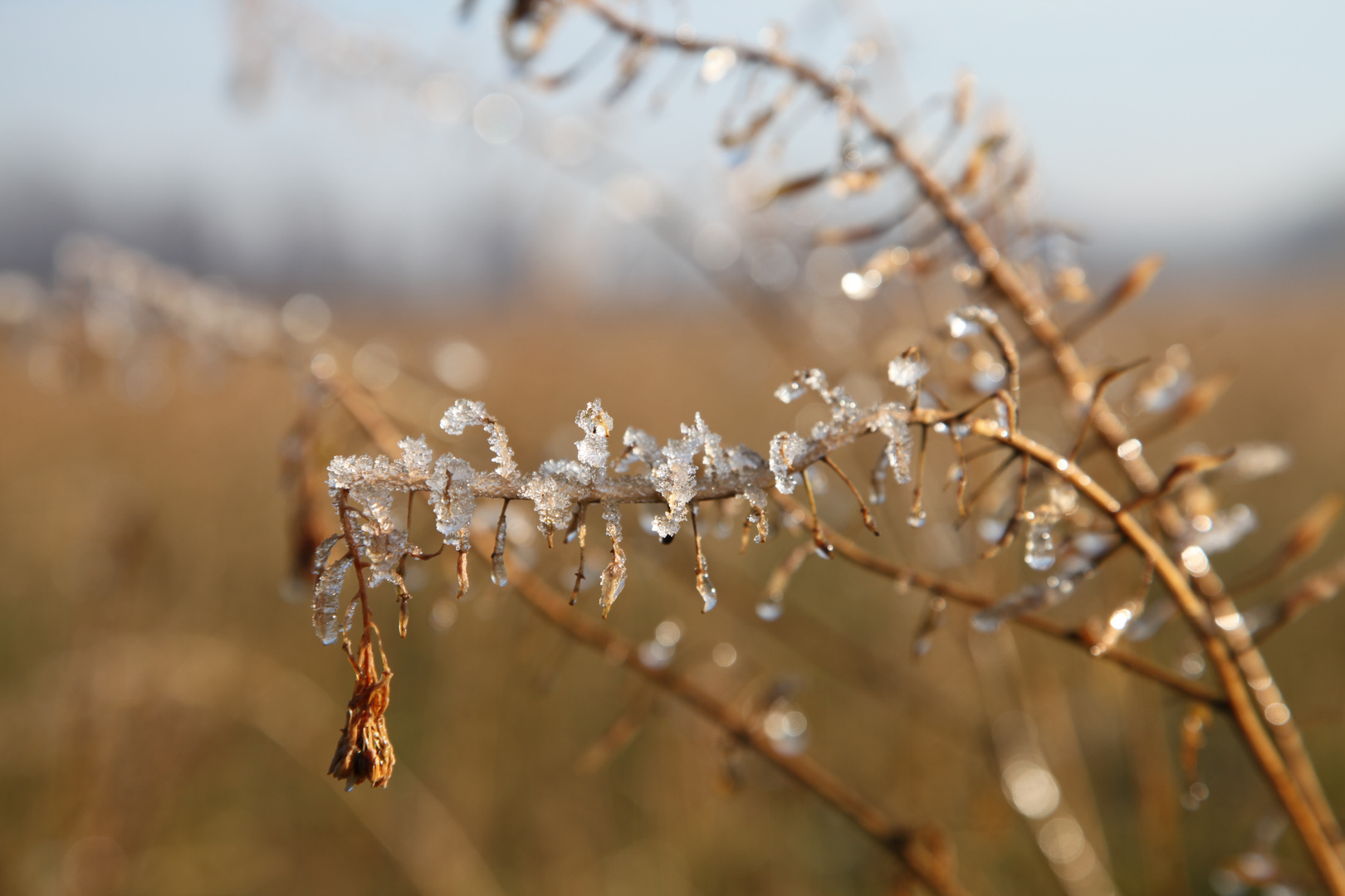 Winterimpressionen