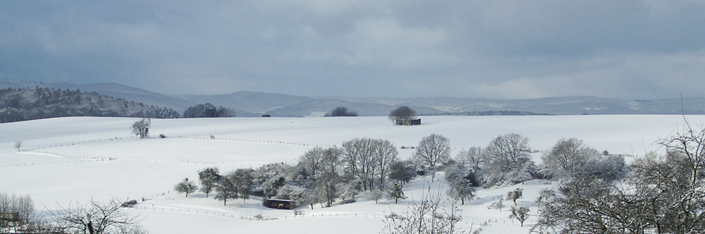 Winterimpressionen