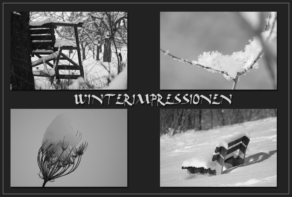 ** Winterimpressionen **