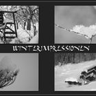 ** Winterimpressionen **