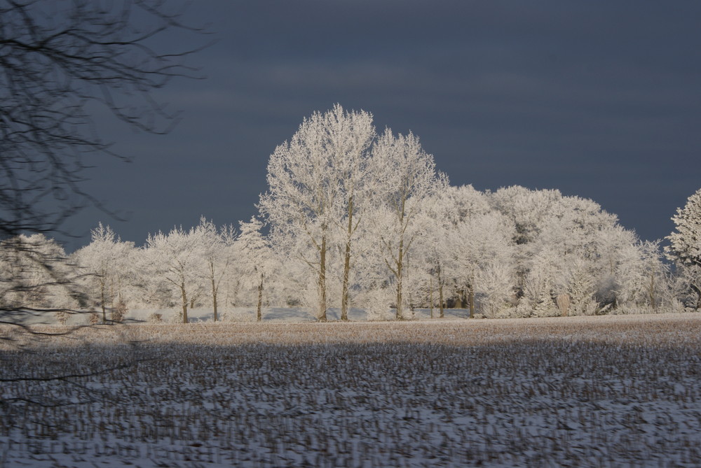 Winterimpressionen