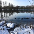 Winterimpressionen am Baggersee