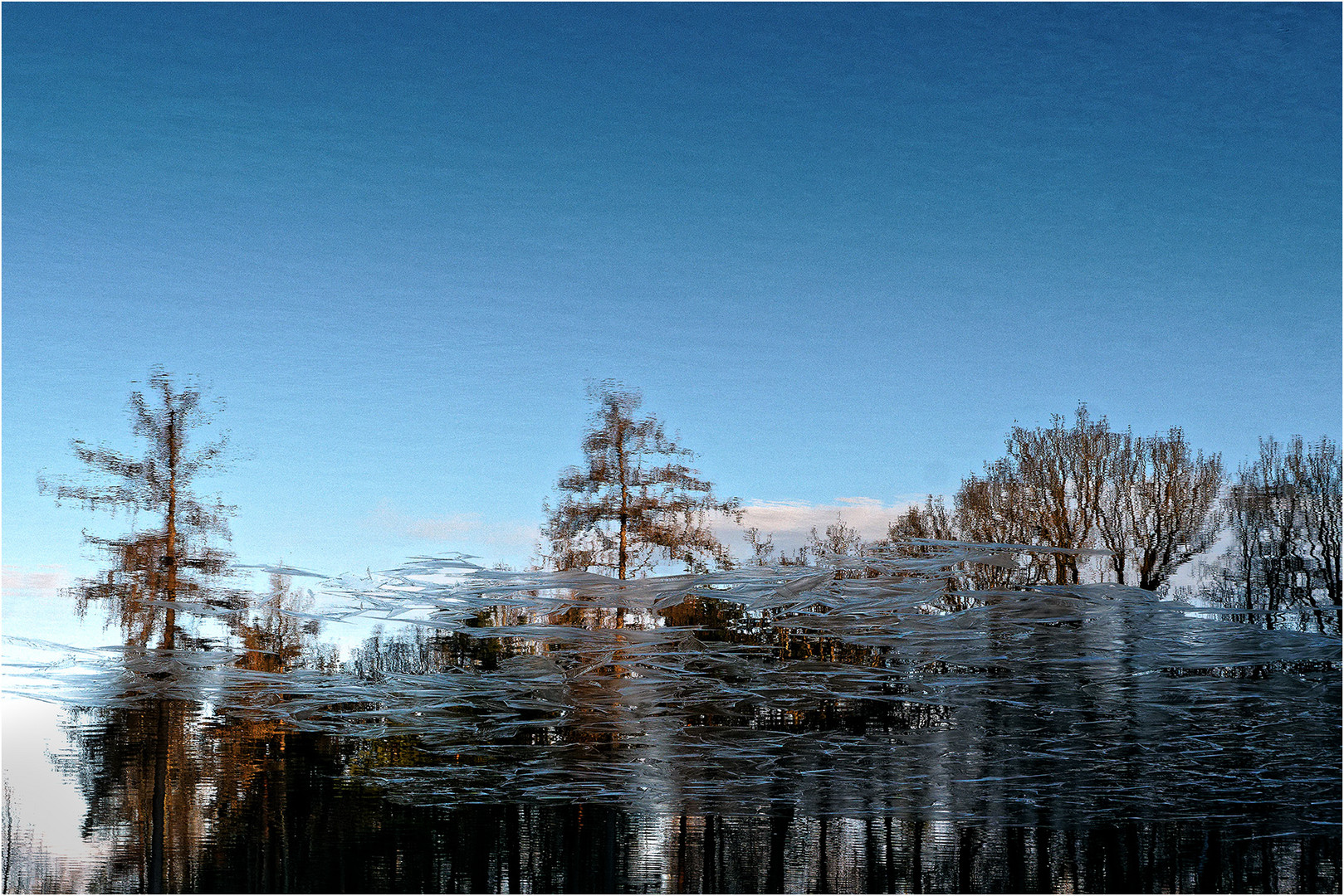 Winterimpressionen am Engeweiher 2