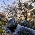 Winterimpressionen am Heidefelsen