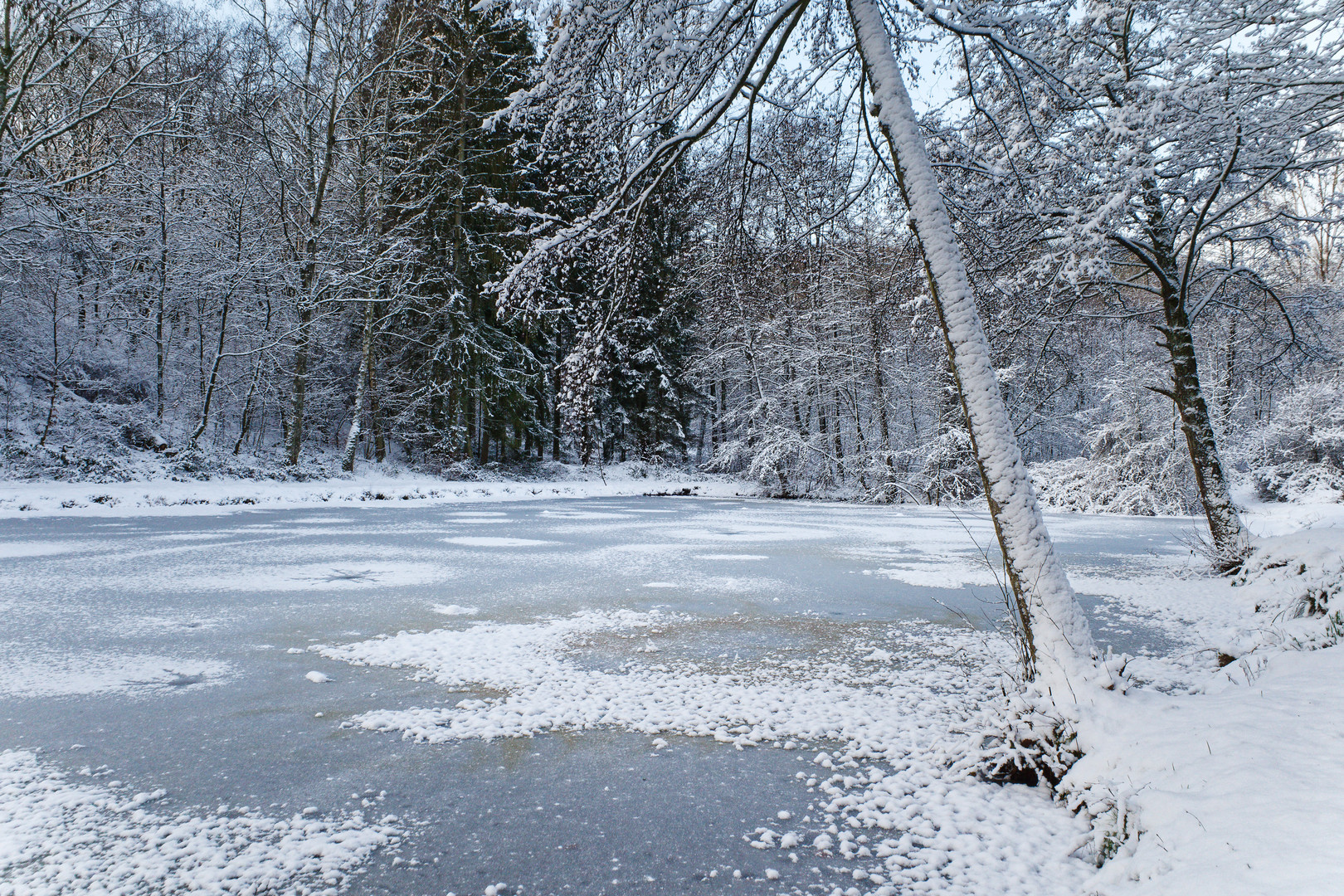 Winterimpressionen am kleinen Lasbachteich  (2)