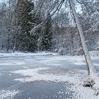 Winterimpressionen am kleinen Lasbachteich  (2)