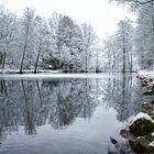 Winterimpressionen am kleinen Lasbachteich