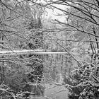 Winterimpressionen am kleinen Lasbachteich