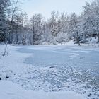 Winterimpressionen am kleinen Lasbachteich