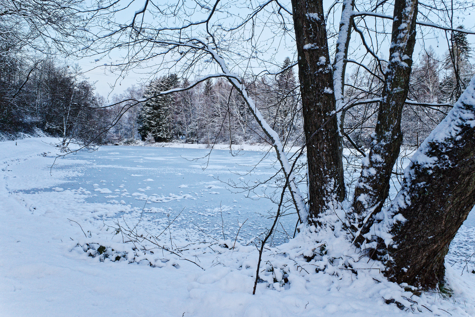 Winterimpressionen am Lasbachteich