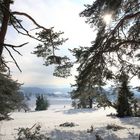 Winterimpressionen am Raichberg Onstmettingen