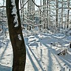 Winterimpressionen am Rennsteig