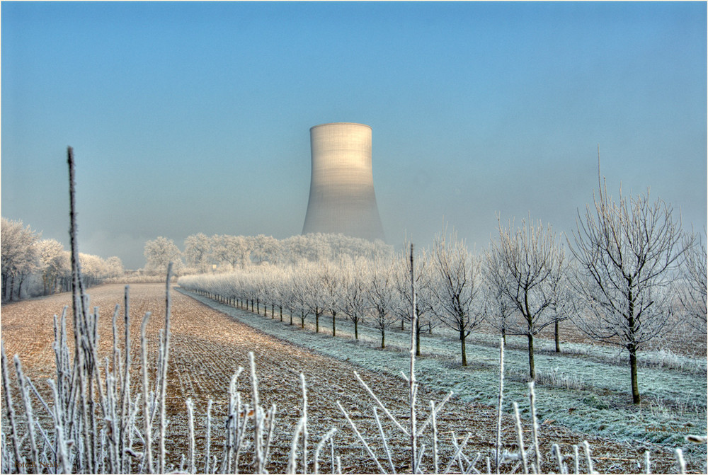 Winterimpressionen am Rhein....