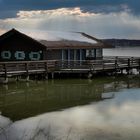 Winterimpressionen am Starnberger See