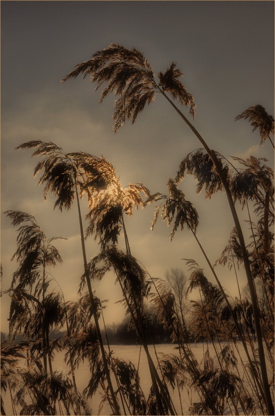 Winterimpressionen am Stausee..........