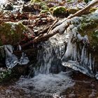 Winterimpressionen am Waldach