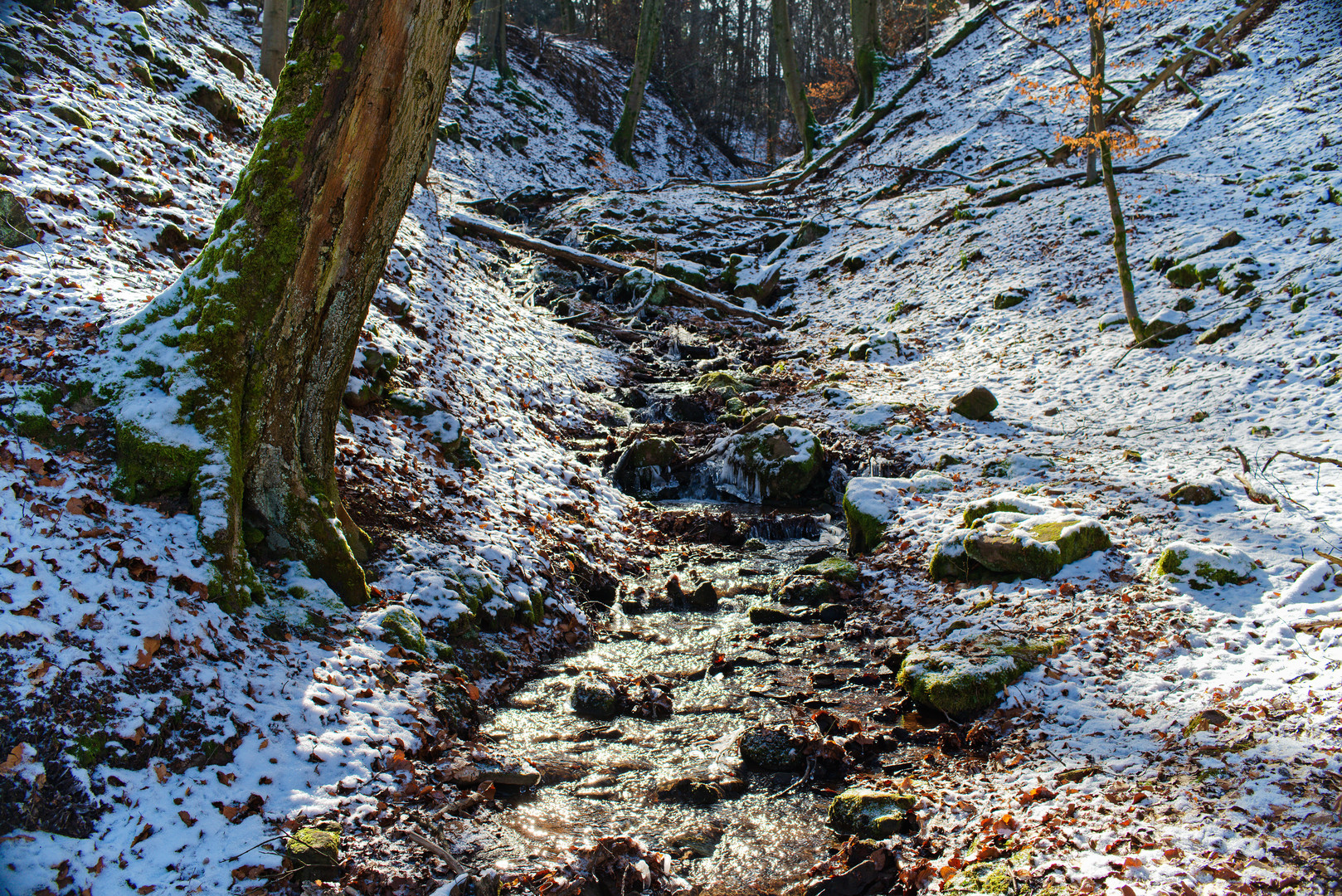 Winterimpressionen am Waldbach